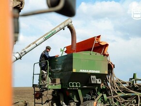 Три муниципальных района Приамурья поставили рекорд по ключевому показателю
