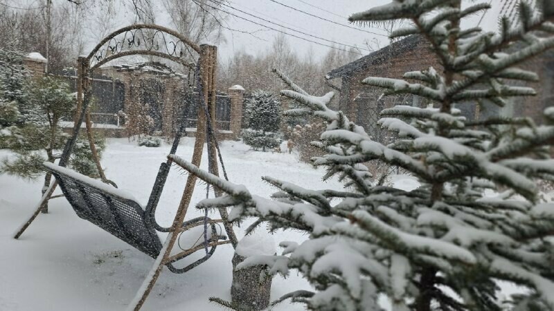 В субботу в Амурской области пойдет снег прогноз на 29 ноября