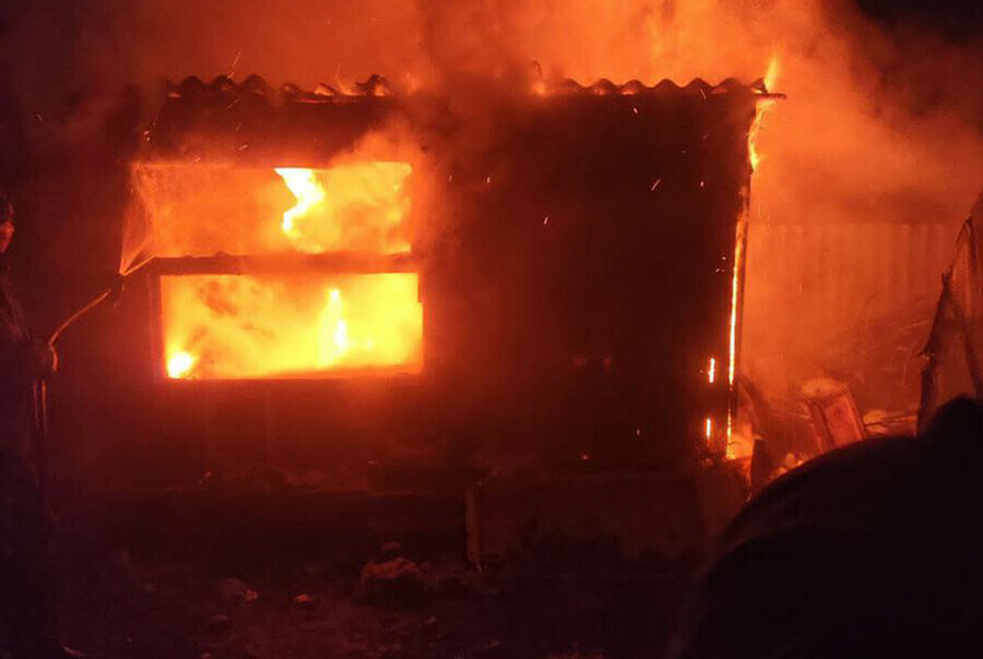 В амурском селе заживо сгорели два десятка кур