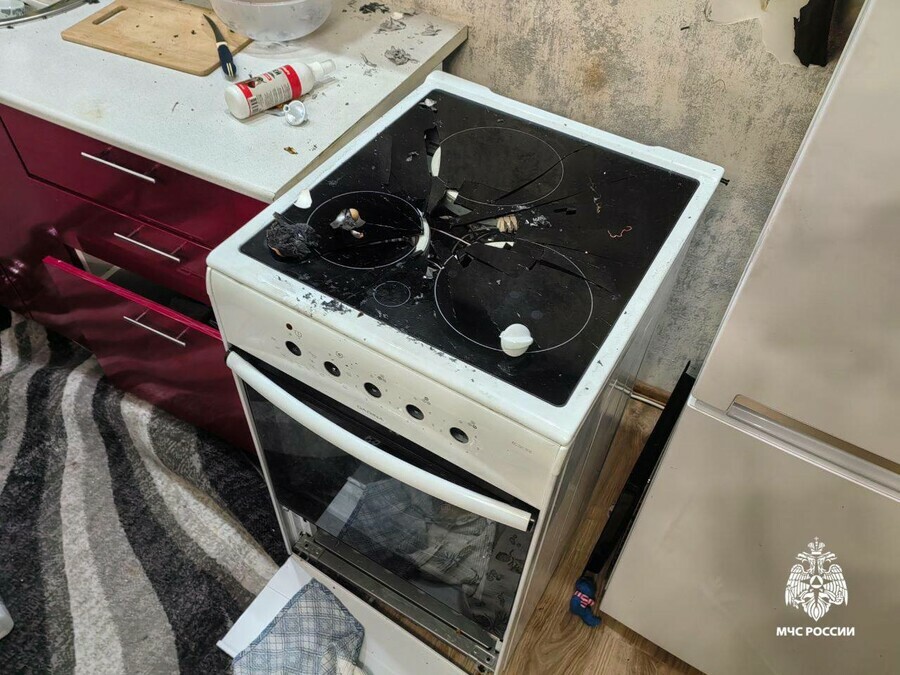 Собака стала причиной взрыва в квартире видео