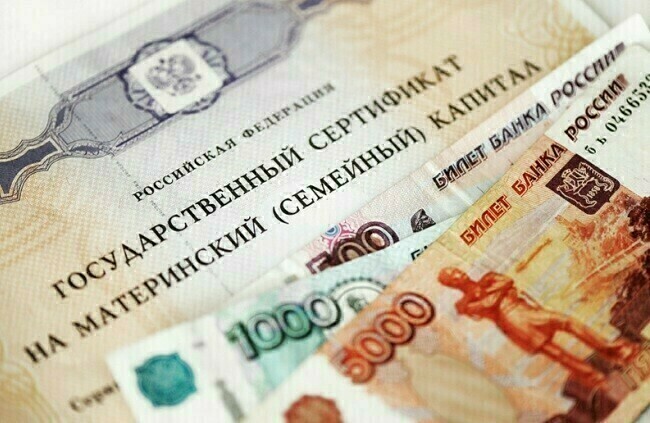 Семьям предложили разрешить оплачивать путешествия по России 