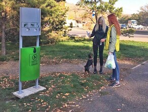 В марте в Благовещенске установят 10 догбоксов Где именно они появятся 