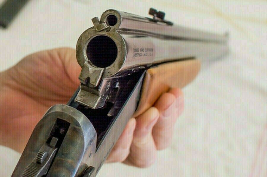 Уголовное дело заведено в отношении амурчанина стрелявшего в собаку