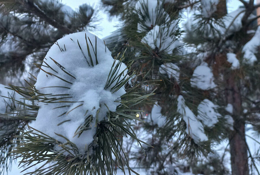 Прогноз погоды в Амурской области на 2 декабря