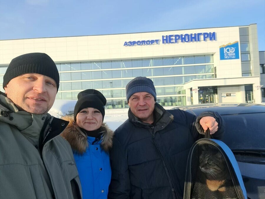 В Тынде найден кот который потерялся в поезде и проехал тысячи километров