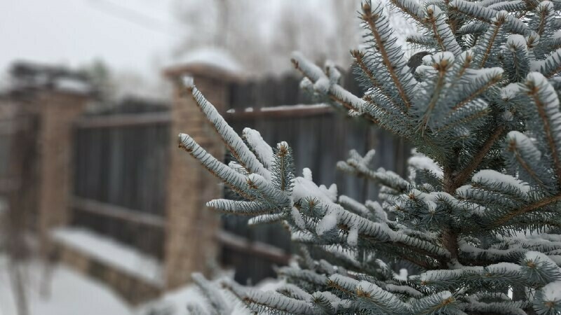 Прогноз погоды в Амурской области на 3 декабря