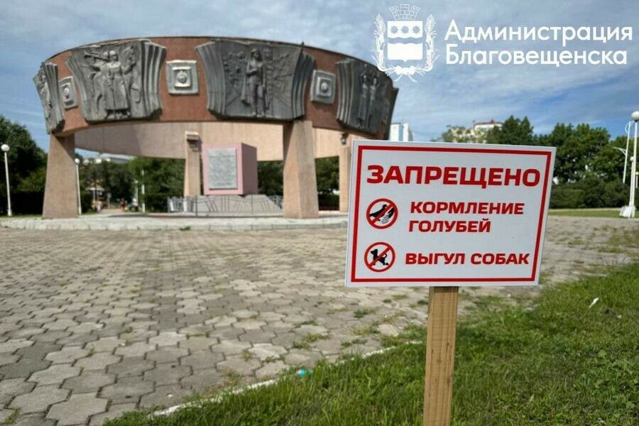 Благовещенцам озвучили сумму штрафа за кормление голубей 
