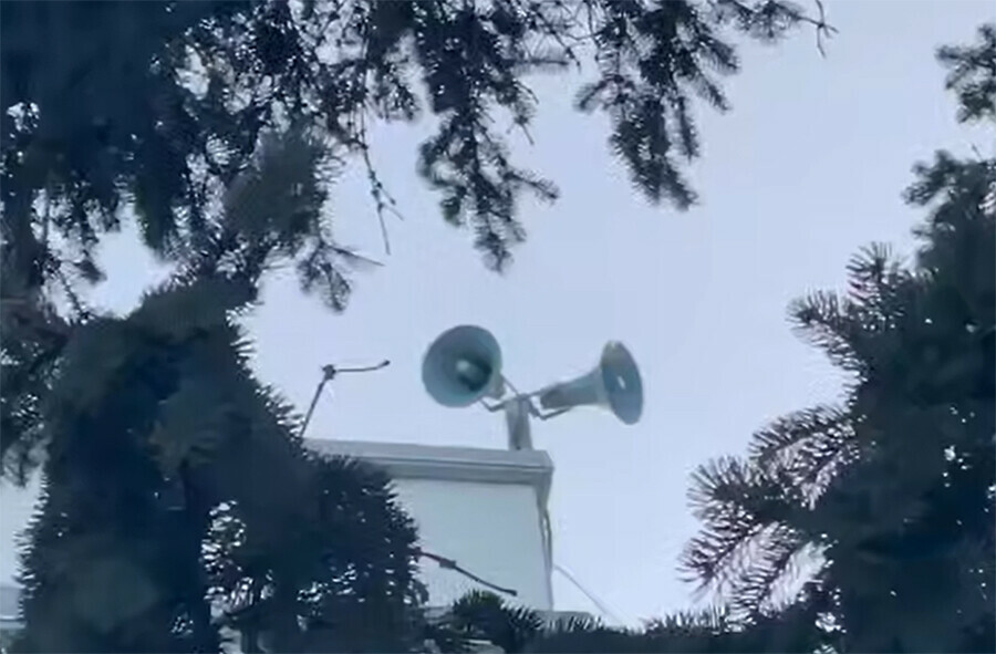 В Белогорске снова пугают ворон видео