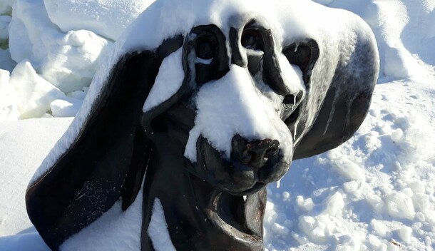 Прогноз погоды в Амурской области на 6 декабря