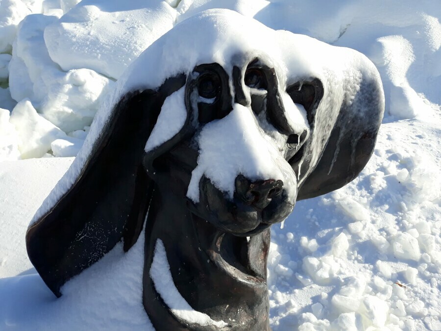 Прогноз погоды в Амурской области на 6 декабря