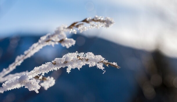 До 38 градусов мороза опустится температура в Приамурье 