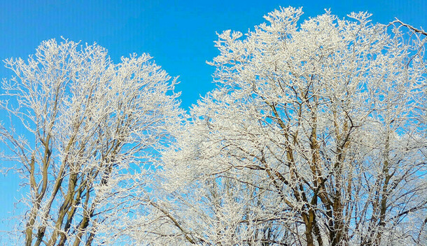 Мороз и холод какие погодные капризы ждут Амурскую область на неделе