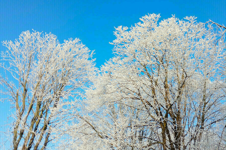 Мороз и холод какие погодные капризы ждут Амурскую область на неделе