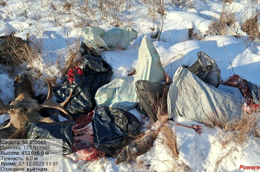Оружие мясо лося и изюбря изъяты у браконьеров в Амурской области