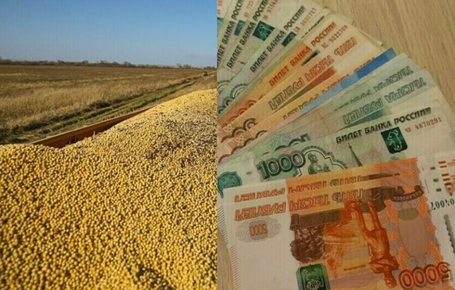 Осуждены мошенники от агробизнеса манипулировавшие крупными продажами сои в Приамурье 