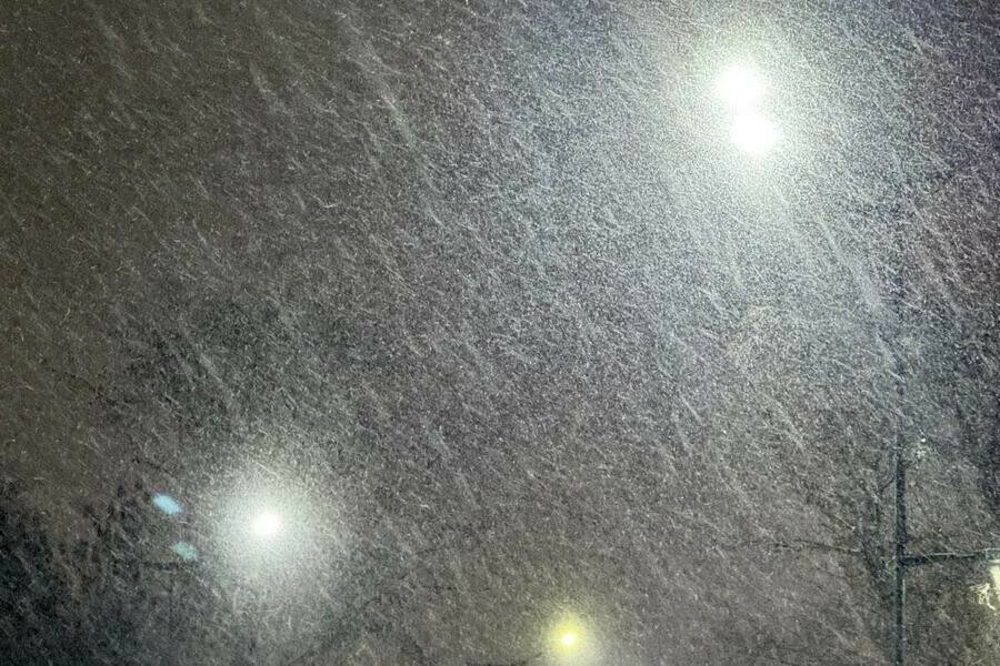 В Приамурье изза надвигающегося снегопада ввели желтый уровень опасности