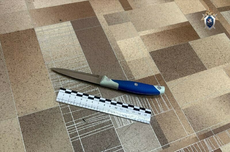 Амурчанин с ножом напал на отца Возбуждено уголовное дело 