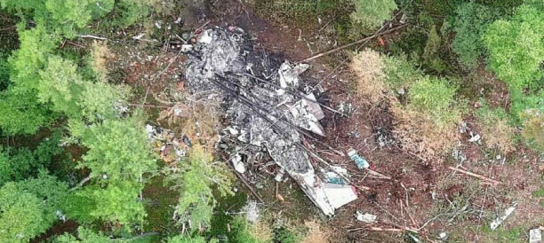 Стала известна причина приостановки иска к Ангаре после повреждения леса в авиакатастрофе в Амурской области