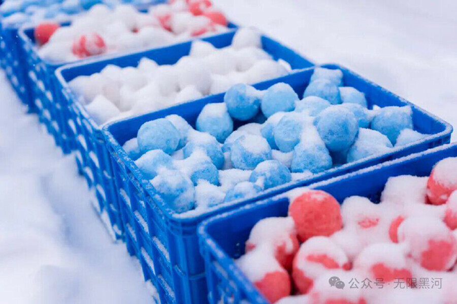 Студенты Благовещенска и Хэйхэ закидали друг друга снежками фото