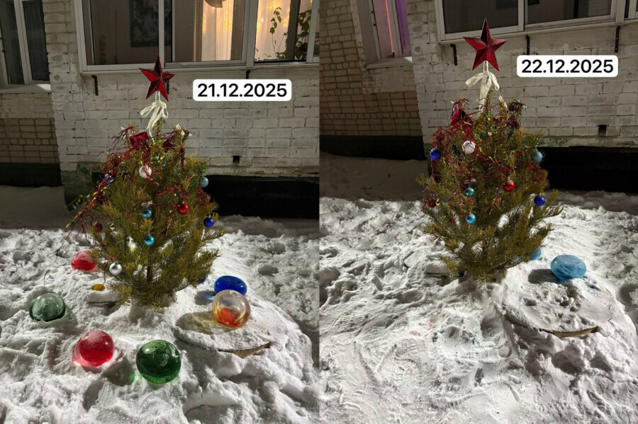 В Приамурье гринчи украли Новый год