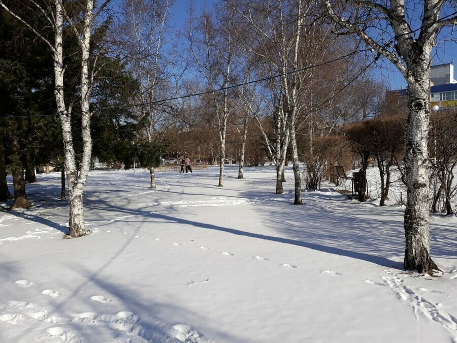 Прогноз погоды в Амурской области на субботу 27 декабря