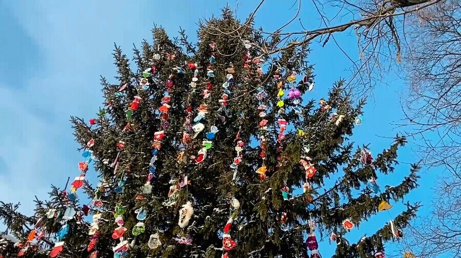 Ель в центре Благовещенска украсили 1000 варежек видео