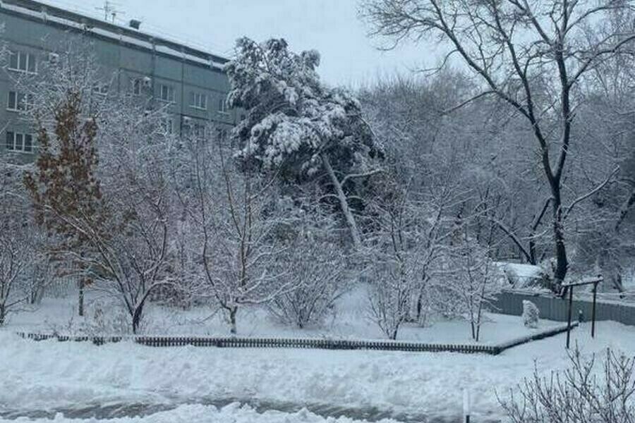 Снега и морозы как начнется последняя неделя 2025 года в Амурской области