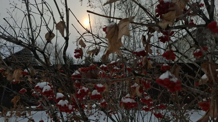 Прогноз погоды в Амурской области на 30 декабря