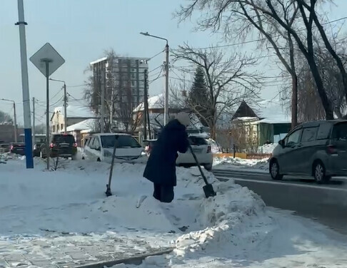 В Благовещенске заметили женщину которая пробивала себе дорогу лопатой