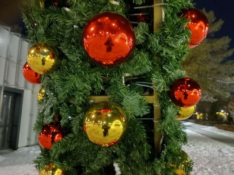 За шумное празднование Нового года могут прилететь штрафы