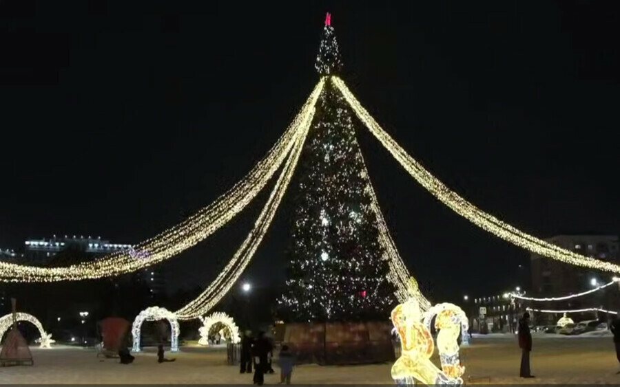 Спасибо за уют Олег Имамеев поздравил жителей Благовещенска с наступающим Новым годом