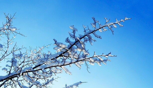 Чем порадует погода амурчан во второй день нового года 