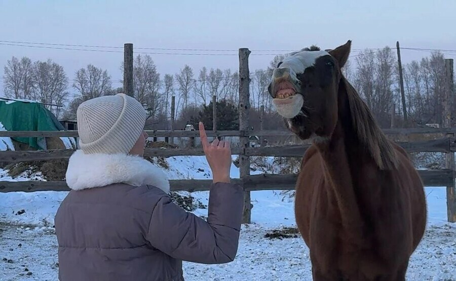 Амурская школьница в Год Лошади научила улыбаться свою лошадку