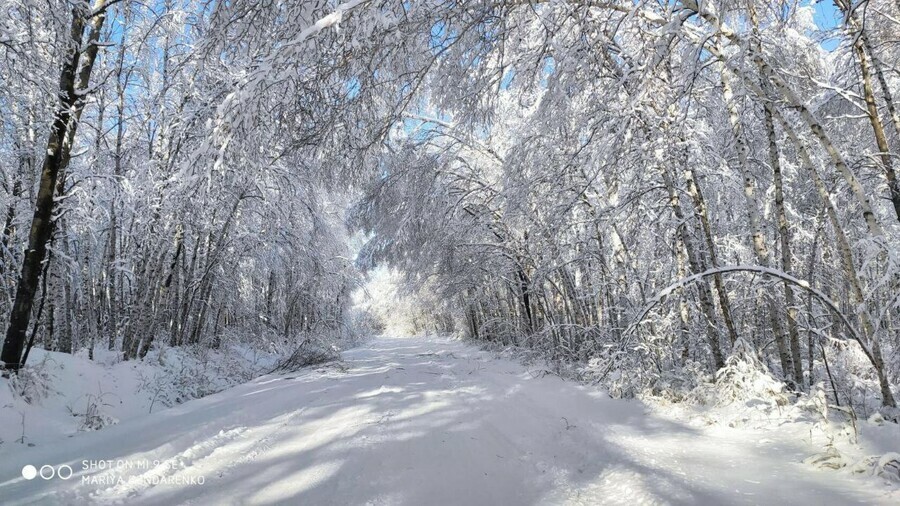 До минус 40 прогноз погоды в Приамурье на 5 января
