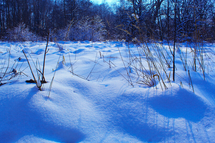 Почти 40-градусные морозы и снег прогнозируют в Амурской области