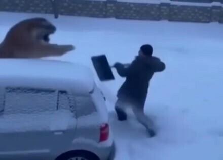 Россиянину грозит штраф в 100 тысяч рублей за ИИ-ролик, завирусившийся в соцсетях (видео)