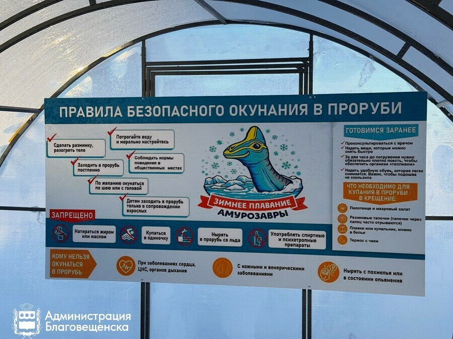 В Благовещенске около будущего центра закаливания появятся ледяные динозавры