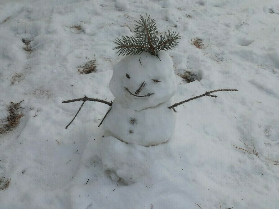 Крещенские морозы подбираются к Амурской области Прогноз погоды на 11 января