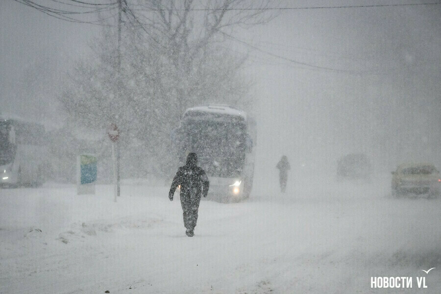 Изза циклона во Владивостоке отменили занятия в школах и детских садах