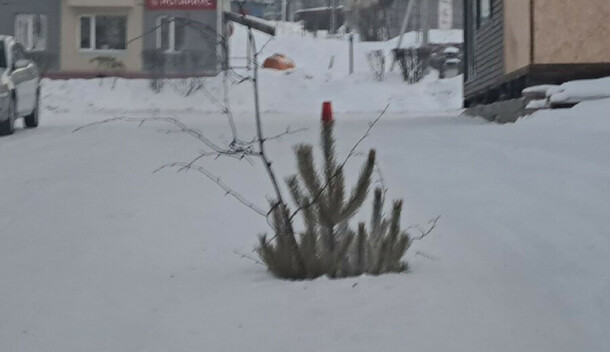 Даже яма на дороге в амурском городе встретила Новый год с елкой