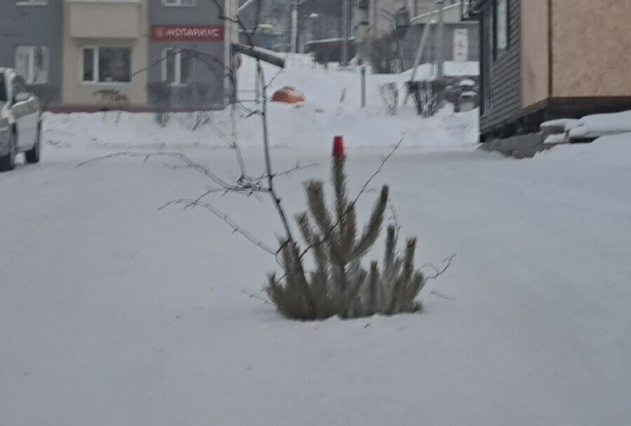 Даже яма на дороге в амурском городе встретила Новый год с елкой