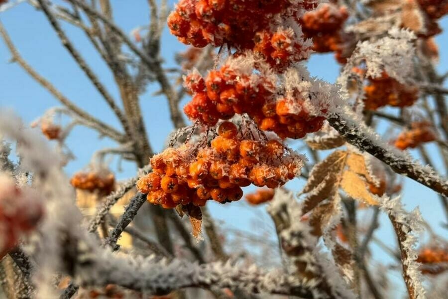 Суровые морозы ниже 33 градусов добрались до юга Приамурья Когда январская стужа ослабнет 