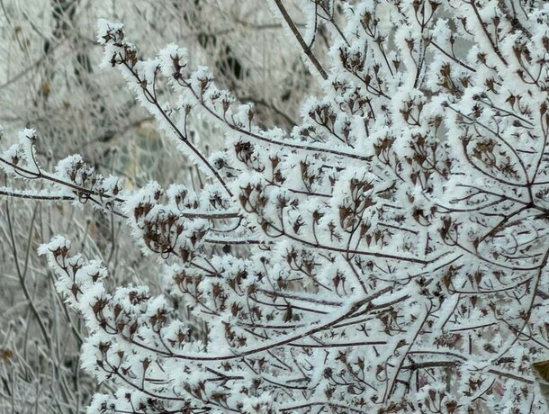 В Благовещенске температура опустилась до значений которые не регистрировались четыре года 