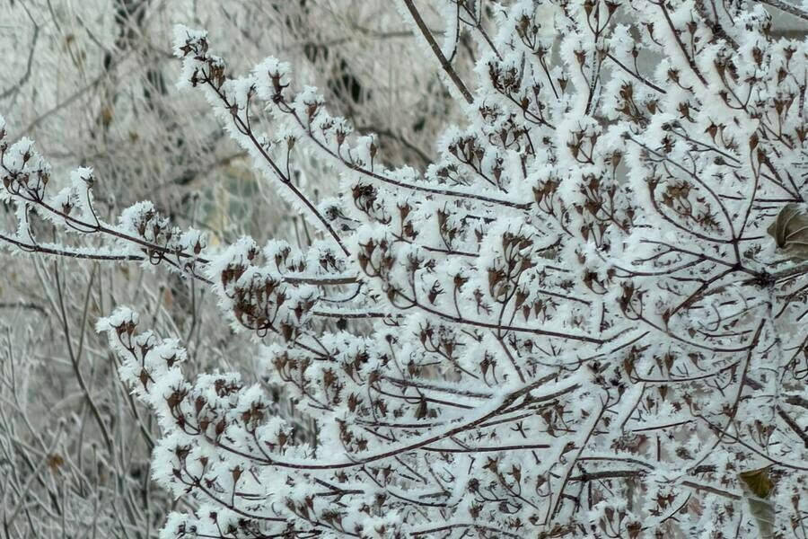 В Благовещенске температура опустилась до значений которые не регистрировались четыре года 