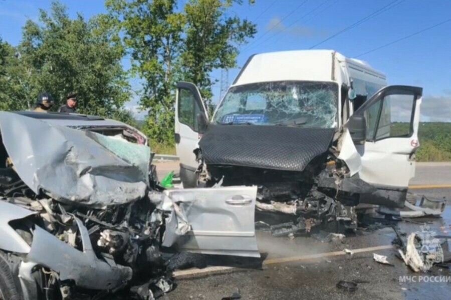 Суд вынес приговор водителю пассажирского автобуса который попал в резонансное ДТП под Благовещенском 