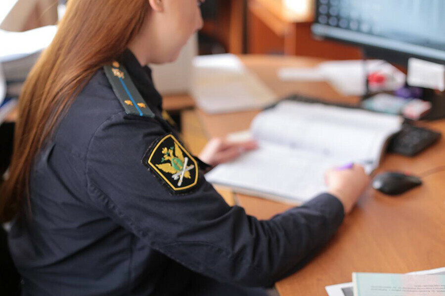 В Благовещенске бизнесвумен принудили выплатить почти миллионный долг по налогам