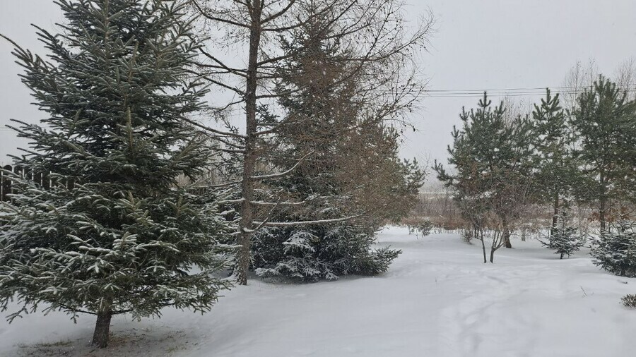 Прогноз погоды в Амурской области на 15 января