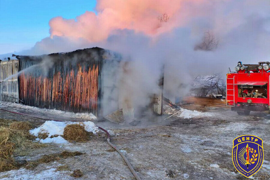 В селе Амурской области во время мощного пожара на складе сгорела тонна пшеницы фото
