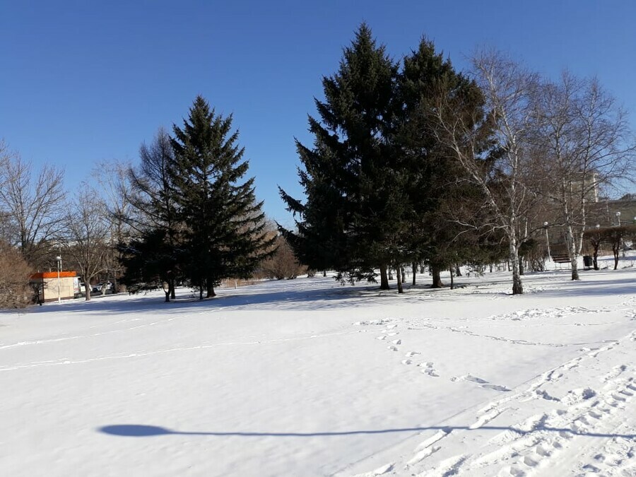 Прогноз погоды в Амурской области на 17 января