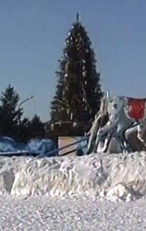 Милиционеры сняли с ёлки мужчину с женщиной Как Благовещенск отметил Новый год  2002 